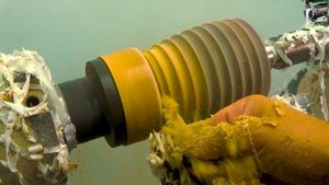 Сделал интересную вазу из цветов