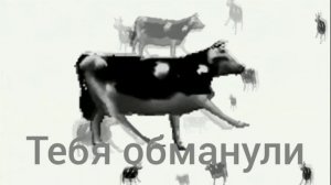 Вся правда о Дэн19к