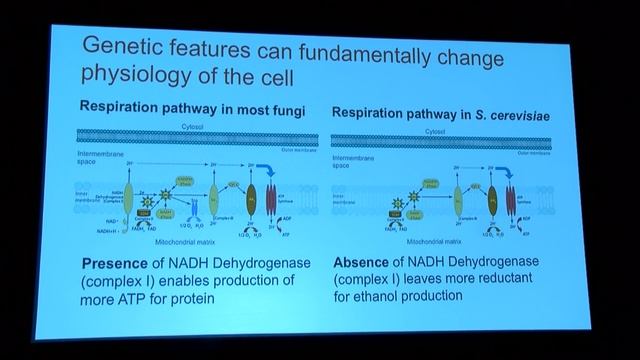 Tom Jeffries at the 13th Annual JGI Genomics of Energy & Environment Meeting смотреть онлайн