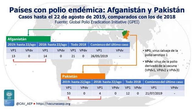 INFECCIONES DEL SNC PRODUCIDAS POR  Enterovirus (Poliovirus- Echovirus) y Virus herpes simple tipo смотреть онлайн