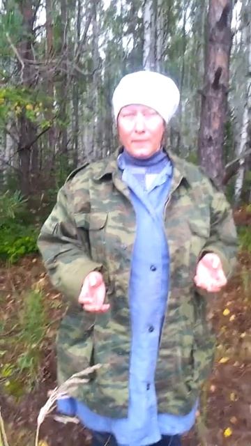 Сколько грибов в лесу? смотреть онлайн