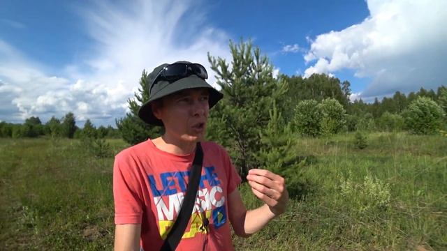 Про мухоморные трипы и познание истины через мухомор