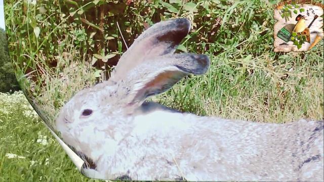 ДЕТСТВО Марина САМСОНОВА смотреть онлайн