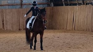 Аквилон и Лера, манежная езда 1.2, #horse #equestrian #лошади #pony