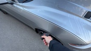 Мустанг