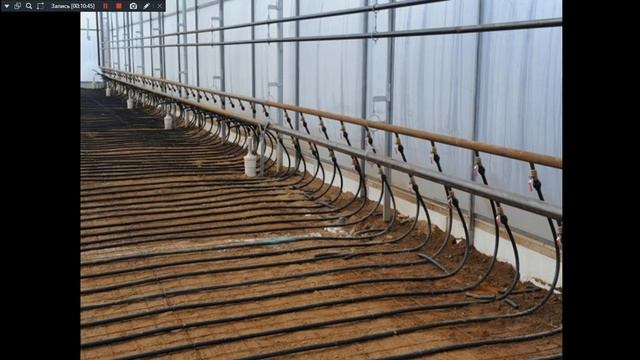 ОГТ 241 гр. 19.11.2025. Теплоснабжение сооружений защищенного грунта.