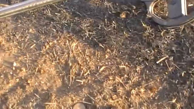 В поисках клада . Первый осенний коп и удача !