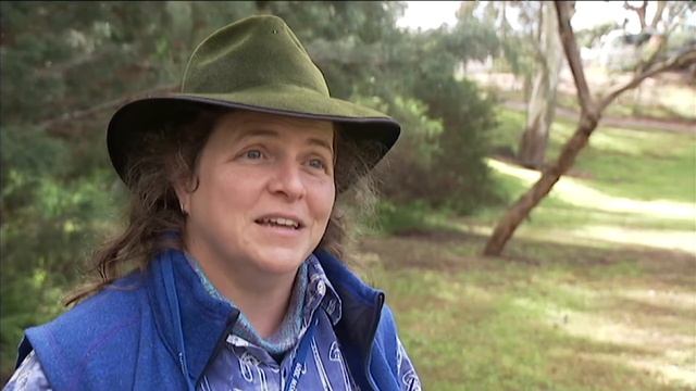 Interesting Facts About Fungi - Behind the News смотреть онлайн