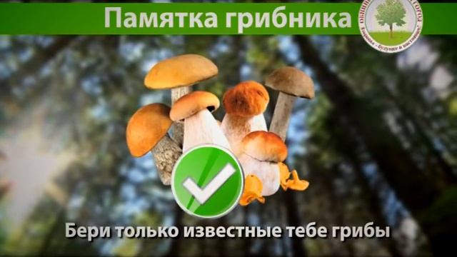 ЗОЖ - грибы Социалный ролик 2012 смотреть онлайн
