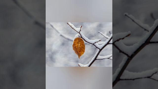 《 ЛИСТ 》: Музыкальная поэзия смотреть онлайн