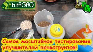 ДОРОГИЕ и БЕСПЛАТНЫЕ! Тестируем улучшители почвы: опилки, цеолит/цион, цимус, песок... Что лучше.