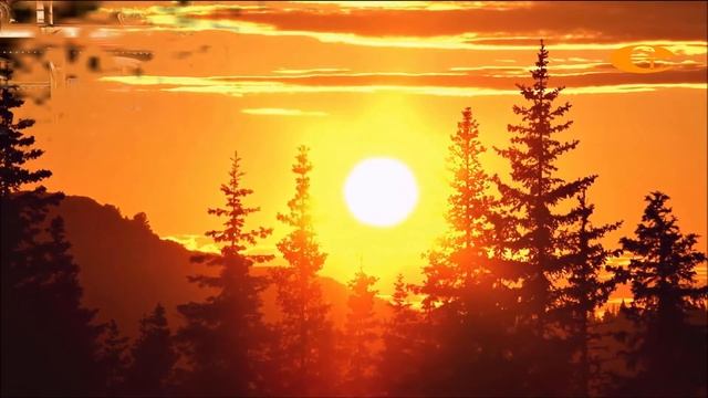 Мұқағали Мақатаев өлеңдері 215 смотреть онлайн