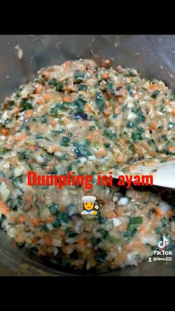 Dumpling isi ayam 🤗