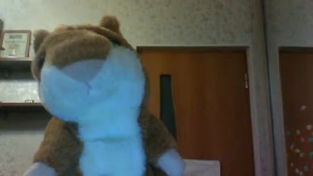 ЛОЛ ПЕСНИ ГОВОРЯШЕГО ХОМЯКА!!! смотреть онлайн