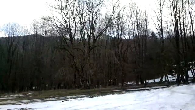 Живая Поэзия#1