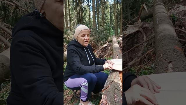 Стихотворение  Ольги Патрий