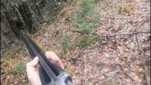 💥 Встреча с МЕДВЕДЕМ в лесу... ( bear attacks russian man )