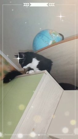 Высоко сижу