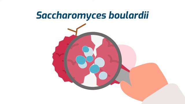 The story of a time tested probiotic yeast