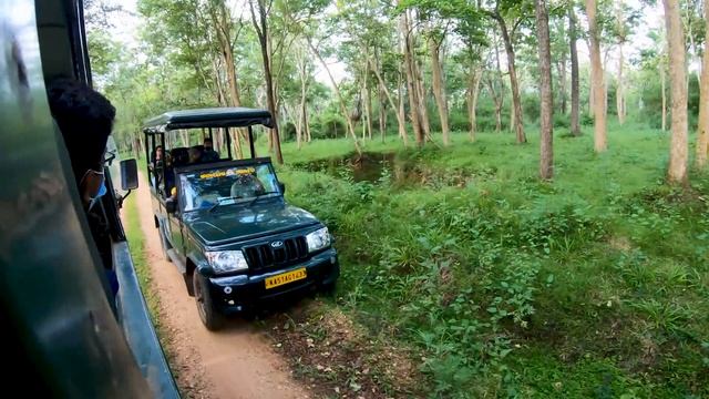 Kabini Forest Safari |Nagarhole Tiger Reserve| Karnataka | Travel Diary Wild |