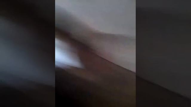 Дурдом веселка в школє
