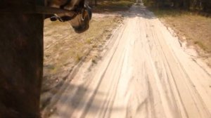 Галоп на орловском рысаке