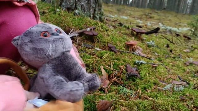 Маленький Басик собирает грибы смотреть онлайн