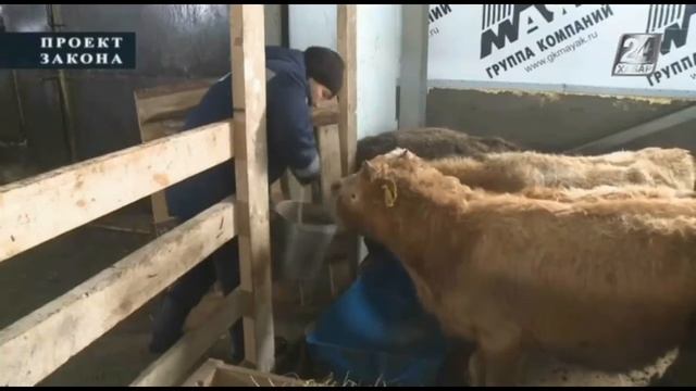 Проект закона. О госпрограмме агропромышленного комплекса