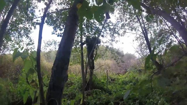 Поход (По следам Чупакабры) смотреть онлайн