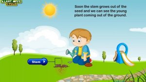 plant-life-cycle-k - английский мультфильм для детей