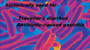 Saccharomyces Boulardii