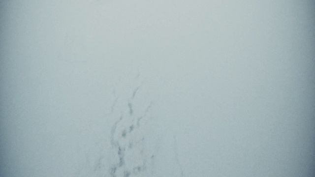 Моменты