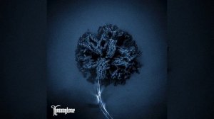 Чёрная Плесень