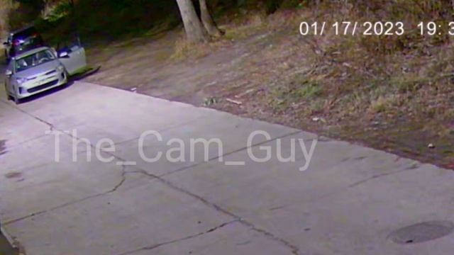 Another pee-pee caught on camera.