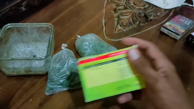 Manfaat Penggunaan Jamur Tricoderma Untuk Tanaman смотреть онлайн