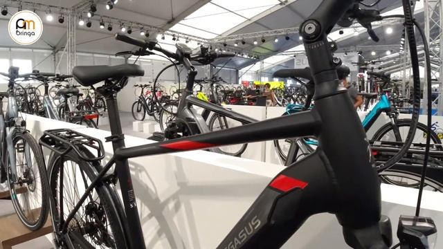 Pegasus Premio Evo 10 (2021) [trekking pedelec] - Ambringa Ebike Videók