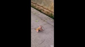 Один в поле не воин.