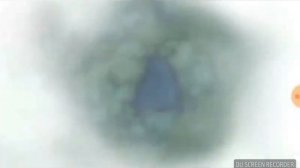 ГРИБЫ- ТАЕТ ЛЁД ЛУНТИК