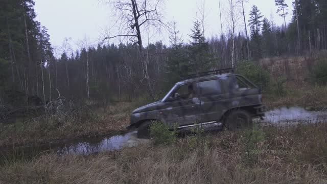 Поездка к солонцу, кормушкам. Видел лося