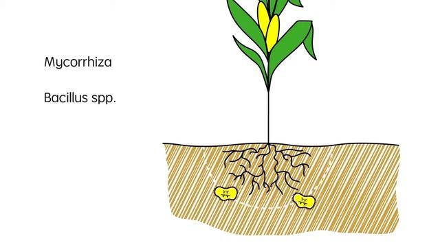 Boast up crop yields by using panoramix смотреть онлайн