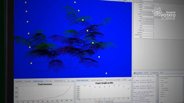 Developing The Understanding Of Alternaria