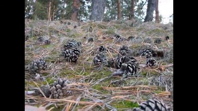 Я тебя тоже смотреть онлайн