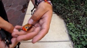 mini split ring pliers rapala RMSP - shop-go campesca