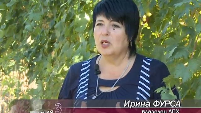 Биометод на виноградниках