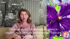 Крепкие и красивые опоры для клематисов. Вебинар 4.
