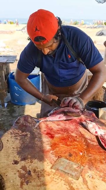 Skipjack Tuna Fish Cutting Under One Minute | Mr.Sampath
