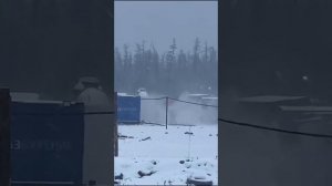 медведь напал на нефтяников русгазбурение