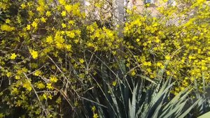 ОБОИ ХОРОШИЕ - МАСТЕРА ПОДКАЧАЛИ .