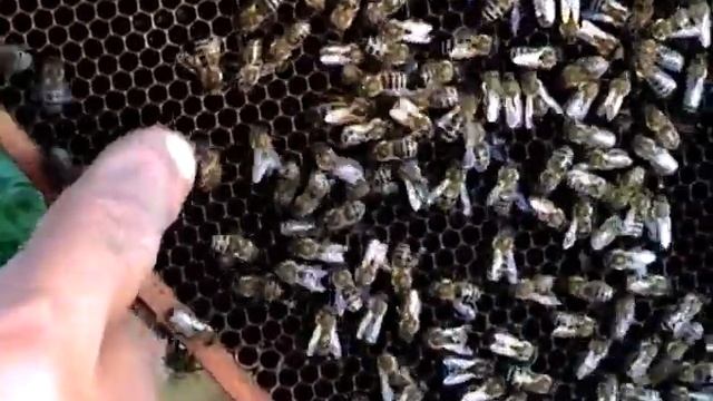 Кухлик меду смотреть онлайн