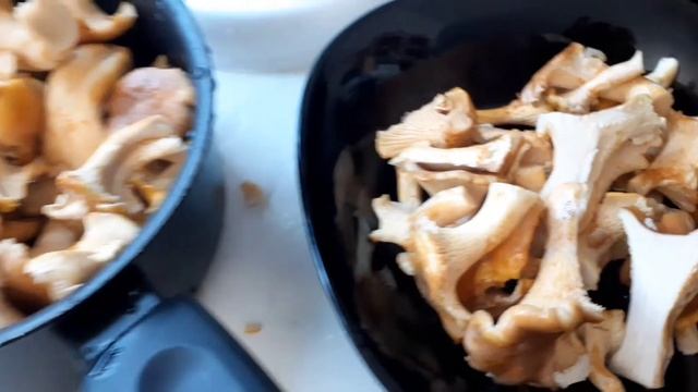 Люблю квашеную капусту и жареные грибы 🇺🇦🇮🇪🥰 смотреть онлайн